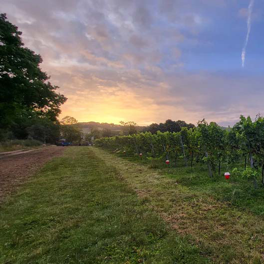 Two-beacons-vineyard-colwall
