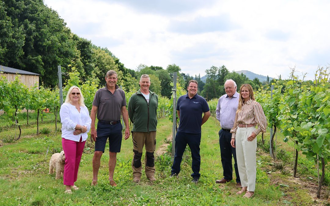 The Malvern Hills Vineyards partnership