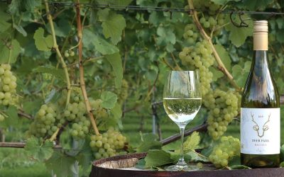 The Malvern Hills Vineyards are Growing and Celebrating